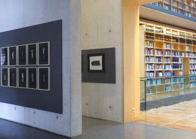 Studienzentrum Herzogin Anna Amaliabibliothek - "Bücherkubus"
